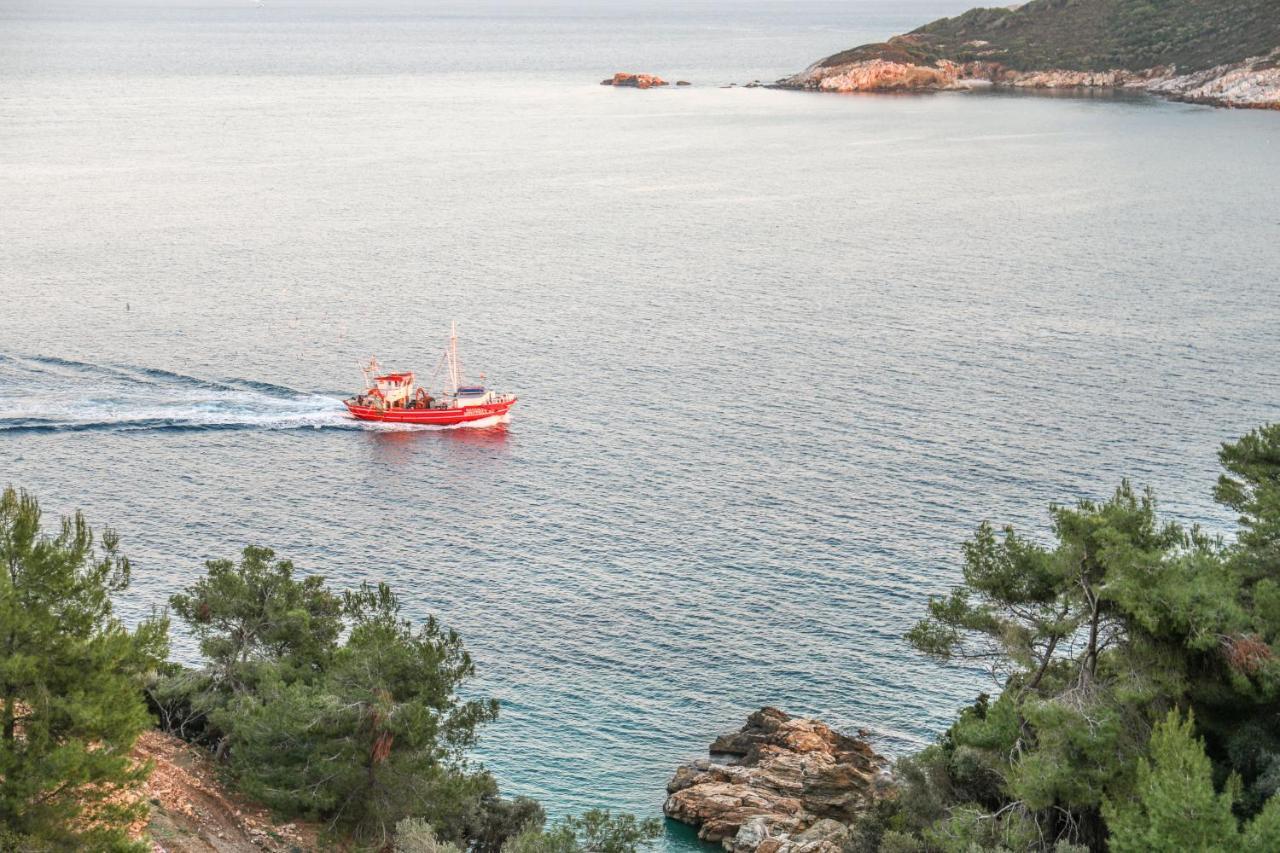 Thalasses Villas Skiathos Punta Eksteriør bilde